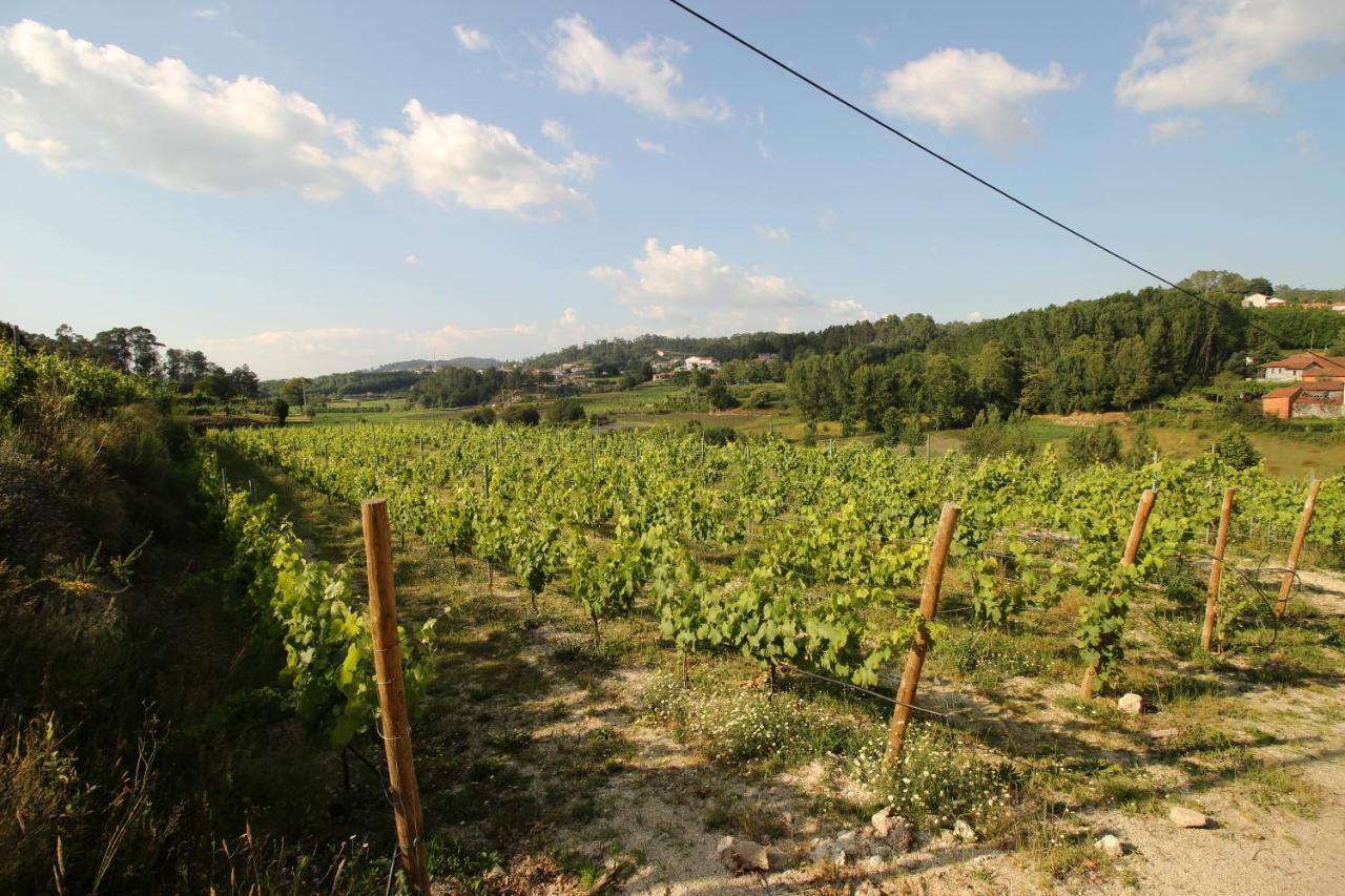 Quinta D'Areda Wine&Pool Experience Fafe Exterior foto