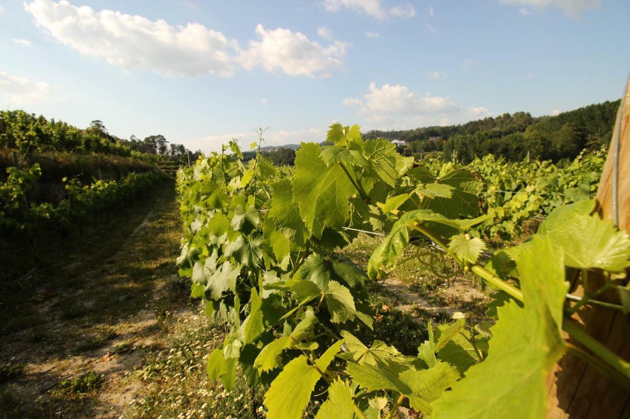 Quinta D'Areda Wine&Pool Experience Fafe Exterior foto